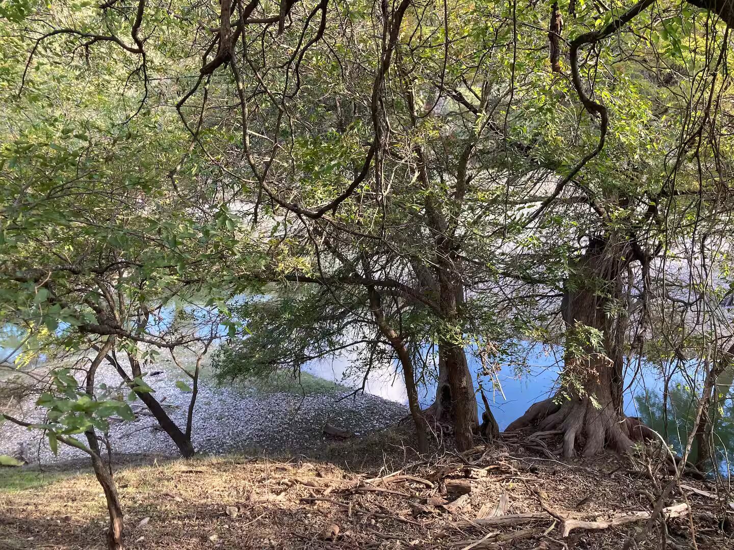 The Guadalupe River