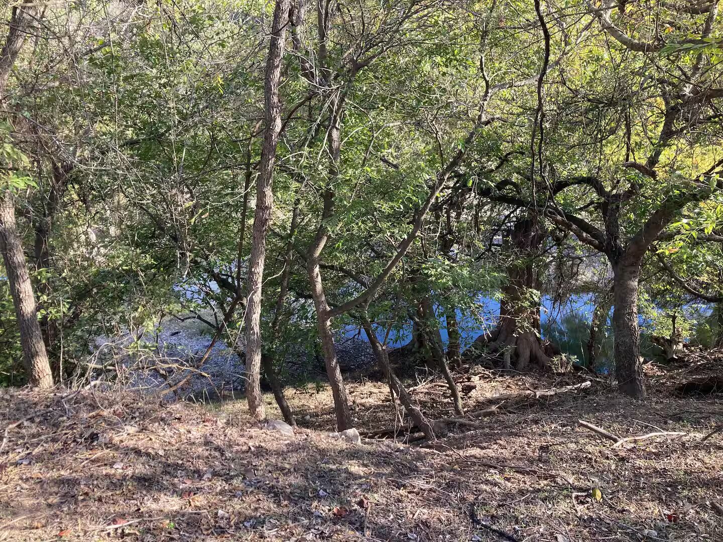 The Guadalupe River
